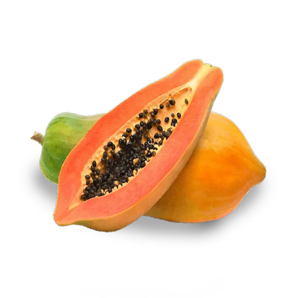 PAPAYA GRANDE