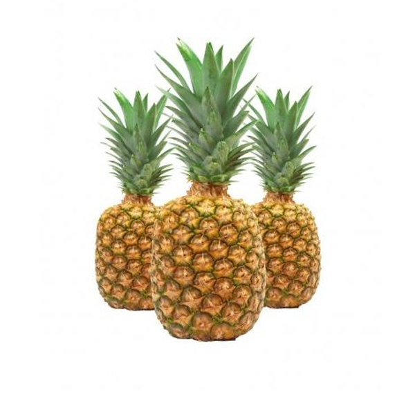PIÑA MILAGREÑA