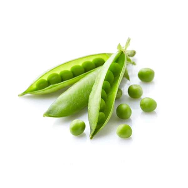 ARVEJAS
