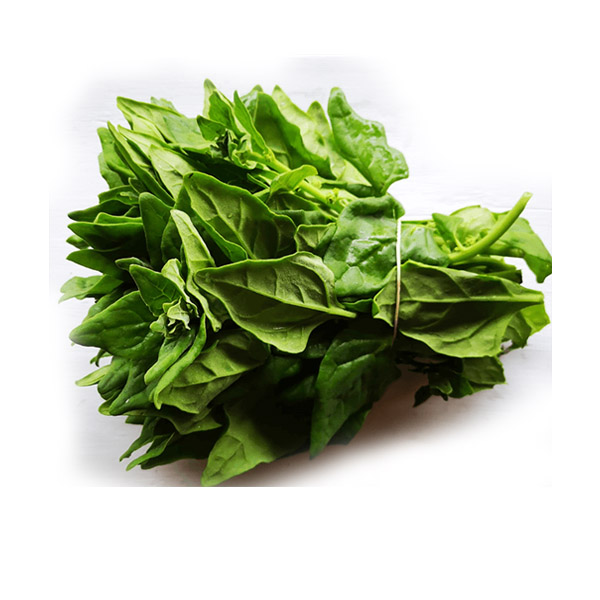 ESPINACA