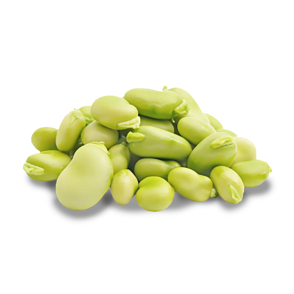 HABAS TIERNAS