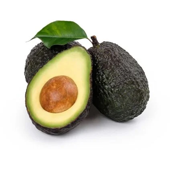 AGUACATE (EX)
